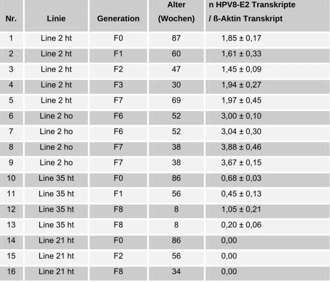 Tab. 1: Expressionsspiegel von HPV8-E2 in Mäusen der verschiedenen Linien in  unterschiedlichen Generationen