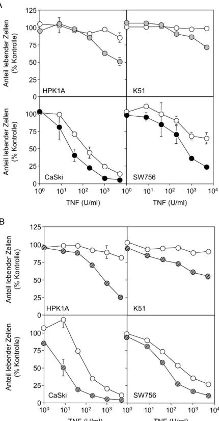 Abbildung 5:  IL-6 Signaltransduktion sensibilisiert für TNFα-vermittelte Apoptose.  (A)  In  vitro HPV-transformierte Zellen (HPK1A und K51) und HPV-positive Zervixkarzinomzellen  (CaSki und SW756) wurden mit Medium (weiße Kreise) oder 100ng/ml IL-6 in de