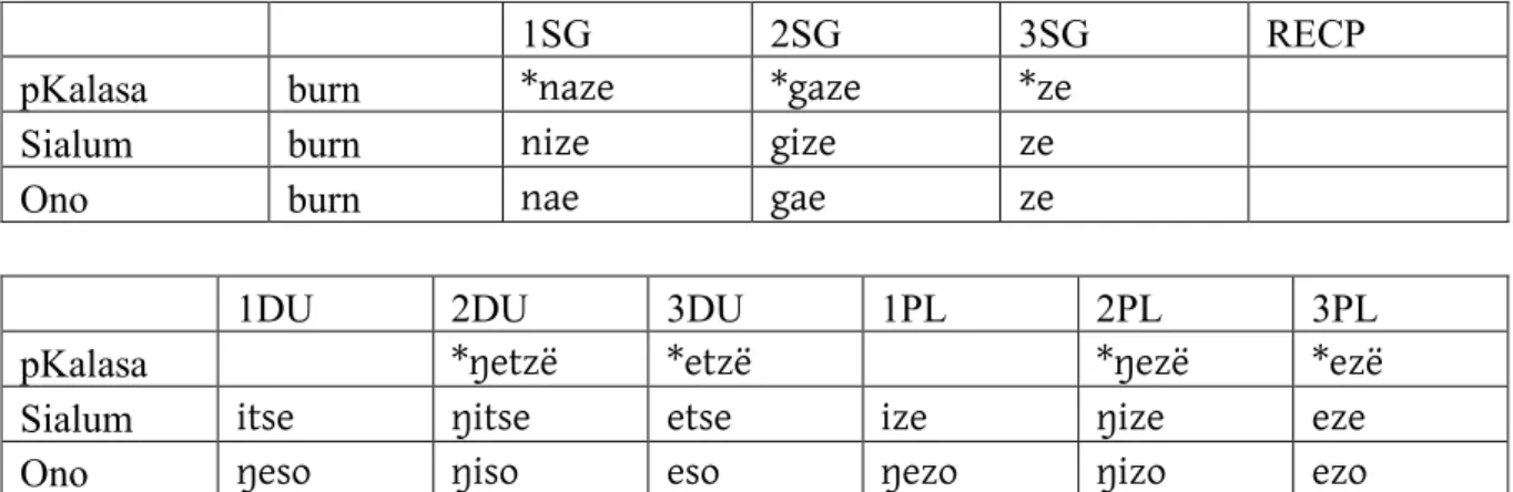 Table 1-13: Proto-Kalasa *naze 'burn' 