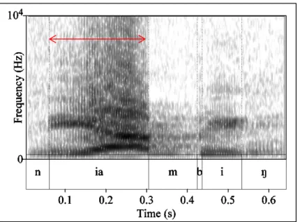 Figure  5  shows  the  spectrogram  of  the  word  /niambing/  ‘to  carry  in  a  sarong’,  in  which  there  is  no  glottal stop between the two vowels; the red arrow again highlights the relevant segment