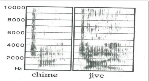 Figure 15: Spectrogram of [t ʃ ] in Nunggubuyu (Ladefoged 2001:143) 