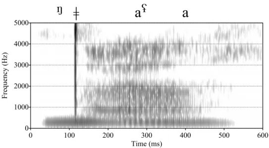 Figure 3.31 Spectrogram  of  /aʢ/  in ᵑǂàʢà ‘kick’ (speaker KE). Note the quasi-periodic vibra- vibra-tion (trilling) towards the middle of the vocalic interval