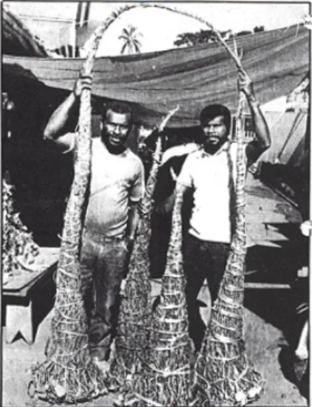 Abbildung 2: Pflanzer mit kapitalen yaqona-Wurzeln in einer Zeitungsmeldung (The Fiji Times 14