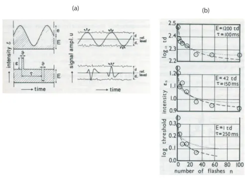 Abbildung 3.6: Flash-trains und ”gated sinuoids” – (a) Schema, (b) Daten