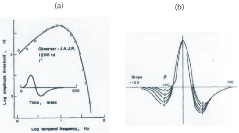 Abbildung 3.10: Watsons (1981) Alternativen – (a) Mit Amplitudenspektrum kompati- kompati-ble Impulsantwort, (b) Erkl¨arung der Roufs un dBlommaertschen Impulsantwort durch zeitliche Wahrscheinlichkeitssummation