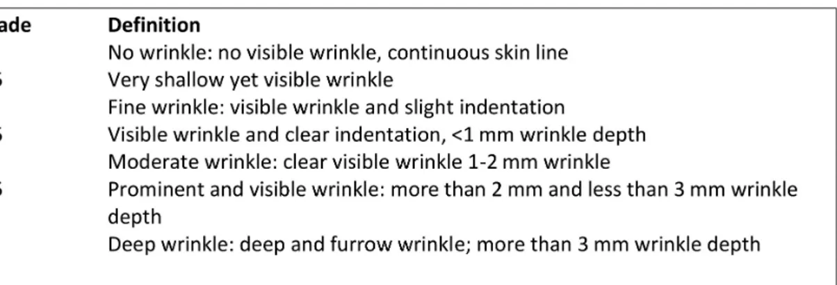 Figure 3. Wrinkle severity scale for nasolabial or periorbital folds (WSS).