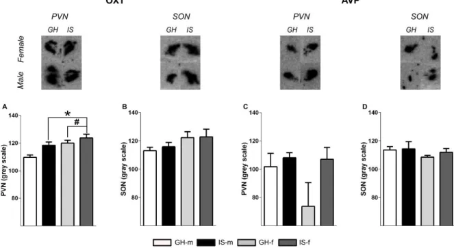 Figure  2.4:  Effects  of  post-weaning  social  isolation  (IS,  black  /dark  grey)  or  group-housing  (GH,  white/light grey) on OXT and AVP mRNA expression in the PVN (A, C) and SON (B, D) of male (m,  black/white bars) and female (f, grey bars) rats