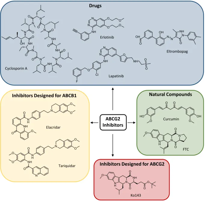 Figure 1.6. Structures of selected inhibitors of ABCG2. 