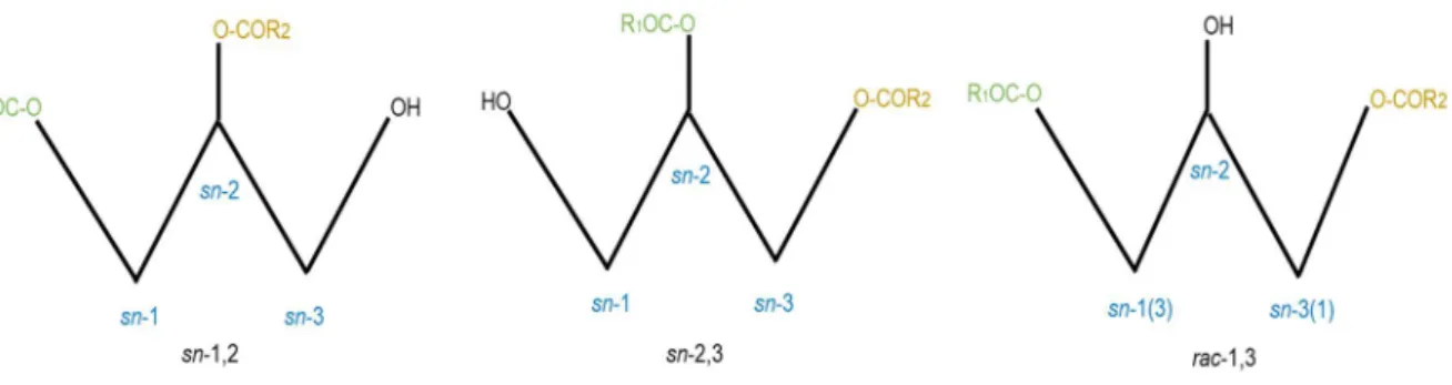 Figure 1.4: Schematic depiction of the different forms of regioisomers of diacylglycerol