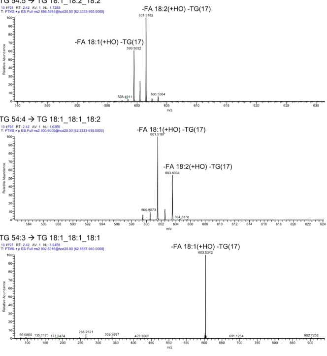 Figure 3.3: MS2 spectra of DG and TG species and acyl combinations derived from  the spectra
