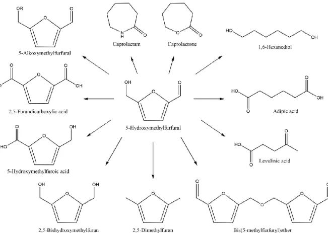 Figure I.2.  HMF as a platform chemical providing access to various important compounds