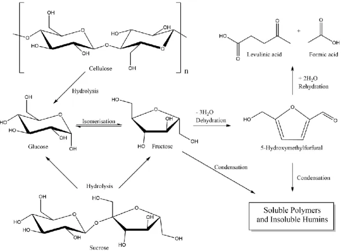 Figure  I.3.  Schematic  representation  of  the  HMF  production  starting  from  carbohydrates  (celluslose,  sucrose)  via  hydrolysis  and  acid-catalysed  dehydration  of  fructose  to  HMF  and  side-product  formation  by  rehydration  and  condensa
