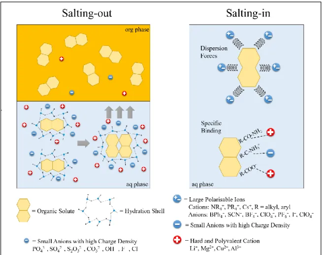 Figure II.7.  Scheme of the salting machanisms. On the left: salting-out effect for LLEx induced by  hydration and on the right: salting-in effect induced by dispersion forces and/or specific bindings  to surface functional groups (right side)