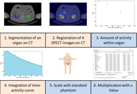 Figure 1.1: Steps of the dosimetry chain according to the MIRD protocol – Multiplication of a global dose kernel, called S-value, with the 