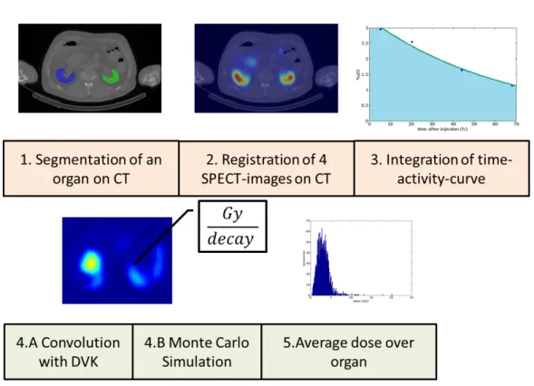 Figure 1.2: Steps of a voxel-wise dosimetry chain