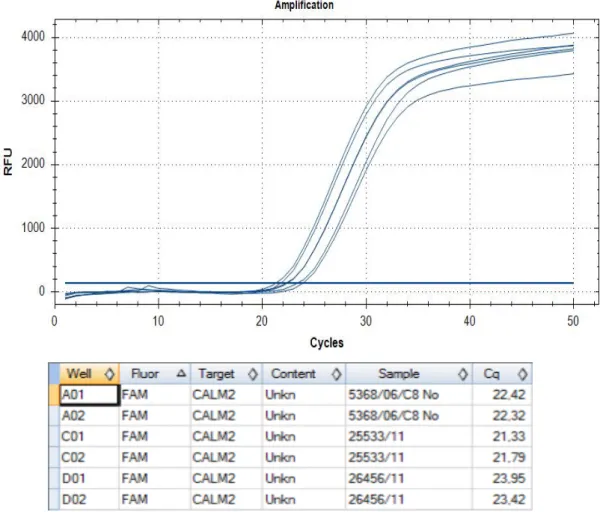 Abb.  3:  Screenshots  aus  Biorad  CFX  Manager  Software  -  Graphische  Darstellung  der  RFU  in  Abhängigkeit der Zyklen einer CALM2 Messung