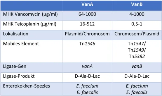 Tabelle  3:  Res is tenz typ en  vanA  und vanB  mit  minima ler  H emmkonzentration  (MHK)  gegenüber  Van comycin   und  Teicop lan in,  Gen lokalisa tion   und   mob ile n  Elemen ten,   LigaseGen e  un d  d em  dazugehörigen  Ligas e  -Produ kt [1, 4] 