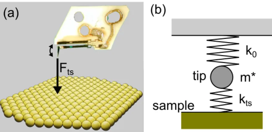 Figure 2.11.: Model for tip-sample interaction. (a) AFM tip mounted on a qPlus sensor oscillating over a surface
