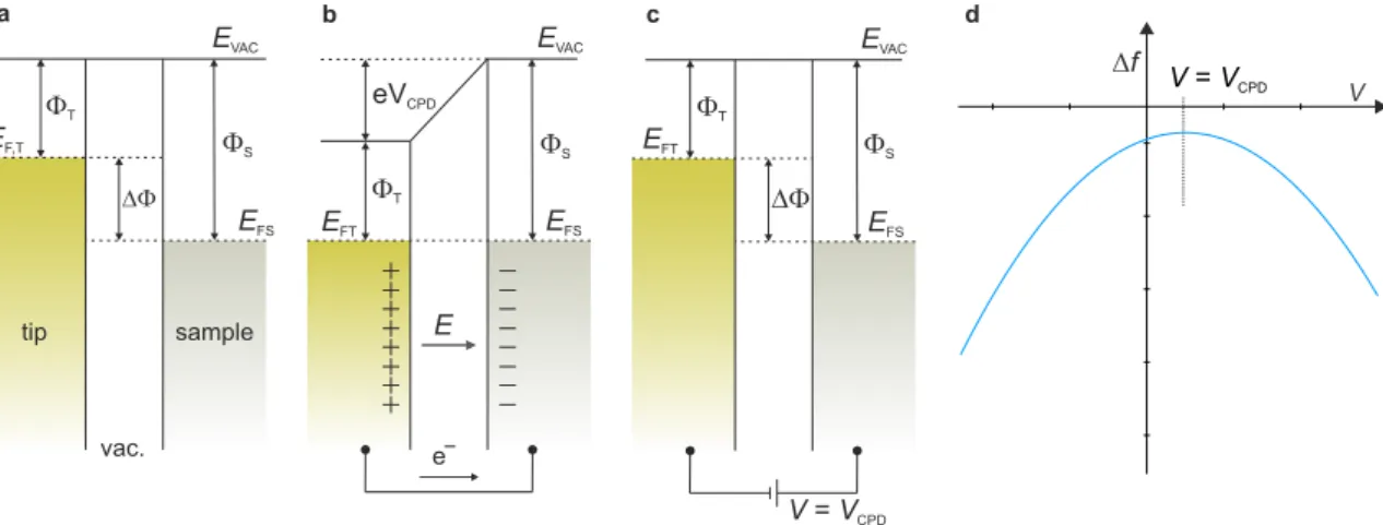 Figure 2.4: Principle of KPFS. a Tip and sample before electric contact formation.