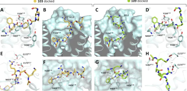 Figure 2.5. Docking poses of 103 (A, B, E, F) and 109 (C, D, G, H) in the M 2  inactive X-Ray structure (PDB-ID  5ZKB) obtained by induced-fit docking
