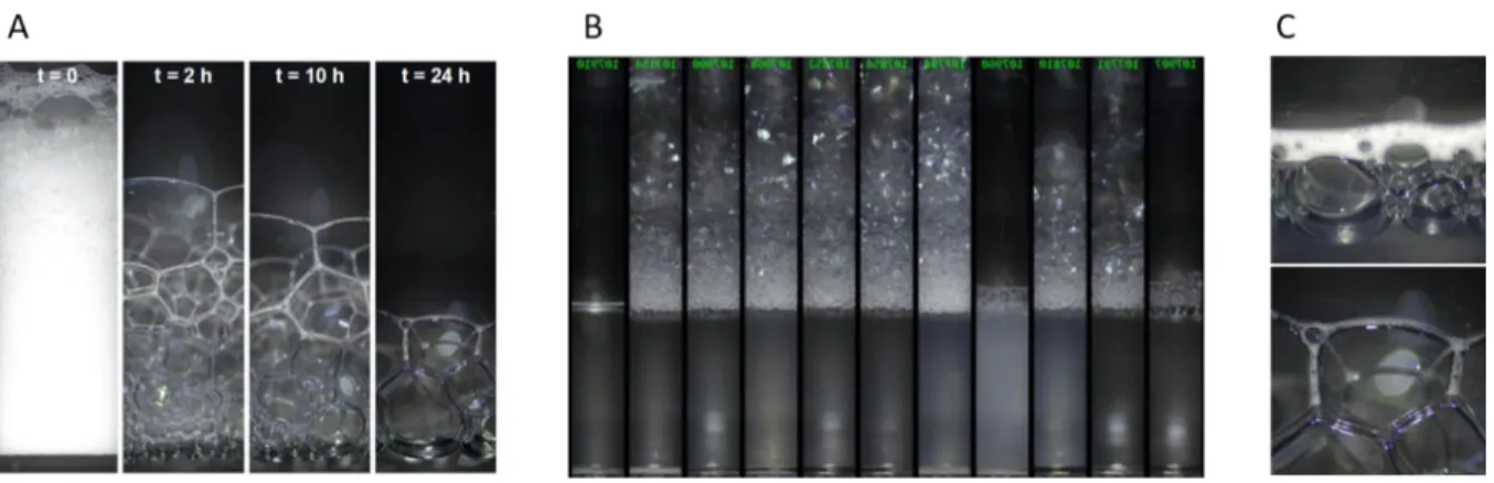 Figure 32: A: time-dependence of the foam structure of SDS-C16EO1Ch, 4-6. B: foam stability of Tex-ACA after  24 h