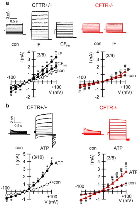 Fig. 7 Ion currents in airway epithelial cells from CFTR+/+