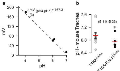Fig. 8 Calibration curve and pH values in mouse trachea. a Calibration curve for the microelectrode used in airway pH measurements ( n = 3 measurements each)