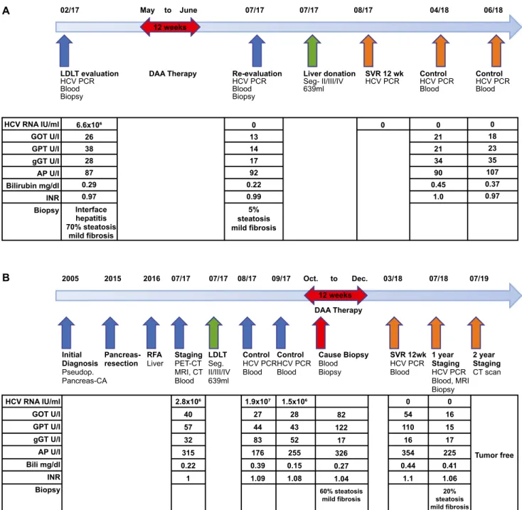 FIg. 1. (A) Therapy timeline of the donor with LDLT evaluation, DAA therapy, re-LDLT evaluation, liver donation, and 12-week SVR  control, with laboratory results and histology results