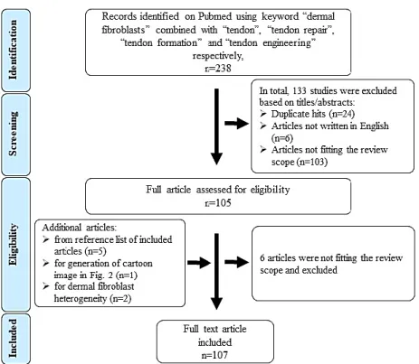 Figure 1. Flow chart representing the literature search and selection strategy (based on the PRISMA  principle)