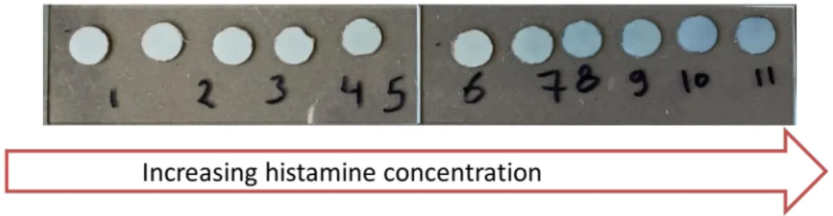 Figure 7. Visible color change of dipsticks with S0378-CA nanofibers with histamine solutions of different concentrations at 130 ◦ C for 30 min