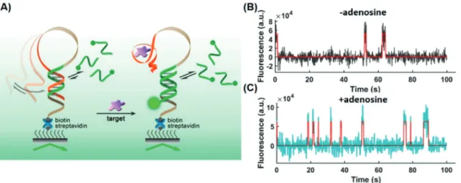 Figure 7. A) Scheme of a hairpin-shaped aptasensor immobilized on a slide surface. Analyte binding results in a conformational change and binding of a complementary fluorescent ssDNA probe