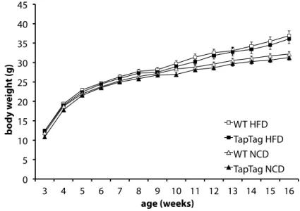 Figure 13:  Average body weight of male IRS1-TapTag mice and controls over the course of 13  weeks