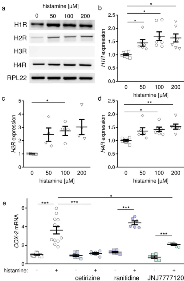 Fig 2. Histamine-dependent expression of histamine receptors and COX-2 by periodontal ligament fibroblasts
