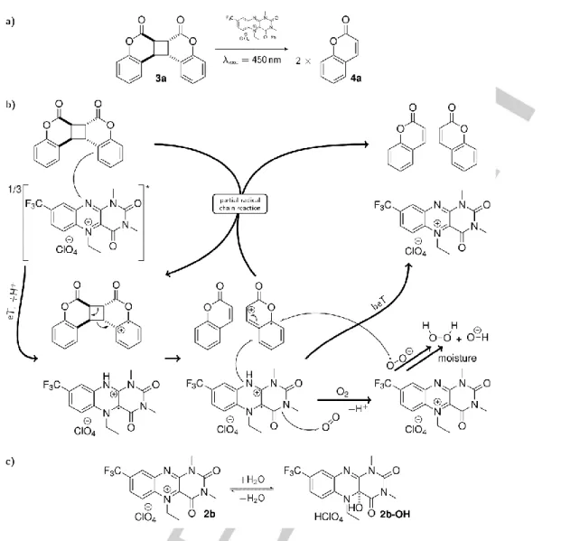 Figure 3. Photocatalytic cleavage of the  coumarin dimer 3a by  the  excited flavinium salt 2b  to  the corresponding coumarin monomer 4a