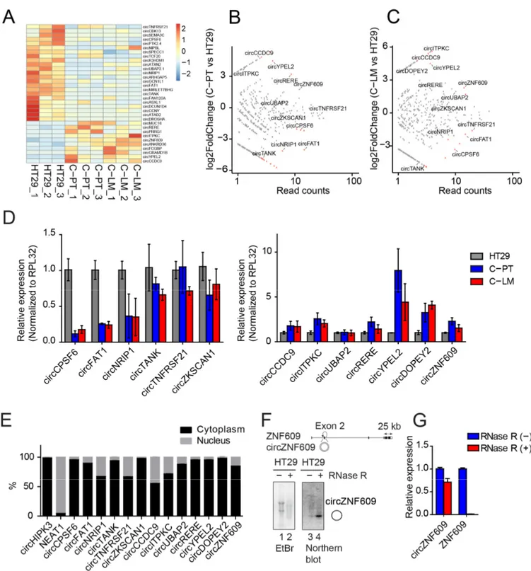 Figure 4. Identification of differentially expressed circRNAs during cancer progression and characterization of cir- cir-cZNF609