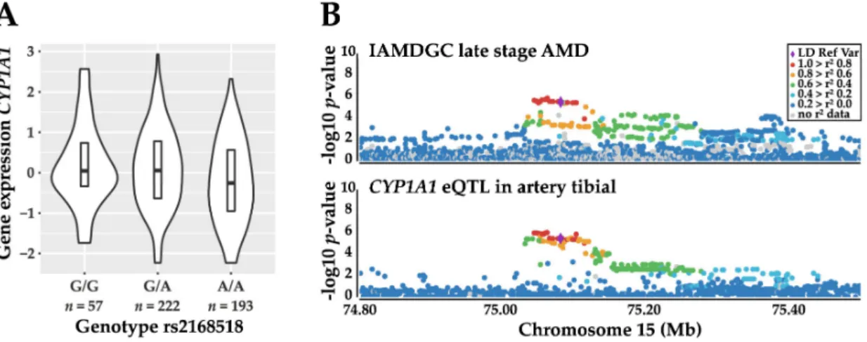 Figure 4. Expression quantitative trait locus (eQTL) analysis reveals CYP1A1 as a potentially regulated gene by the AMD-associated variant rs2168518
