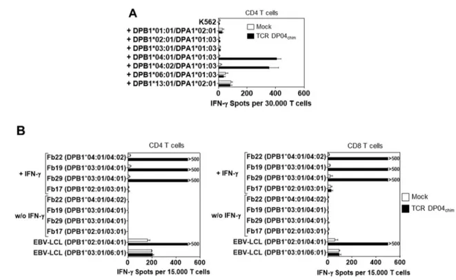 Figure 3. Reactivity of TCR DP04 chim redirected T cells against different HLA-DP alleles