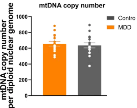Figure 5.  Mitochondrial DNA (mtDNA) copy number per nDNA in 16 MDD patient and control fibroblast  cell lines
