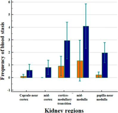 Figure 3 displays the correlation between the frequency of blood stasis and the kidney regions after CM application (Figure 3).