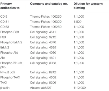 TABLE 2 | Primary antibodies for western blot.
