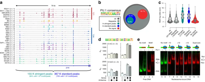 Fig. 1 PU.1 occupancy in vivo and binding constraints in vitro. a Comparison of PU.1 ChIP-seq data across various human lymphoid and myeloid cell lines (LCL and MCL, respectively) and primary cells (BC B cells, BDMC breast skin-derived mast cells, cMO clas