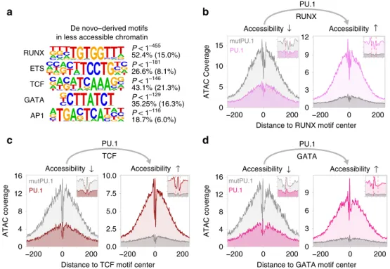 Fig. 5 Motif signatures at sites loosing accessibility. a De novo-derived motifs enriched across regions that lost accessibility upon PU.1 induction in CTV-1 cells