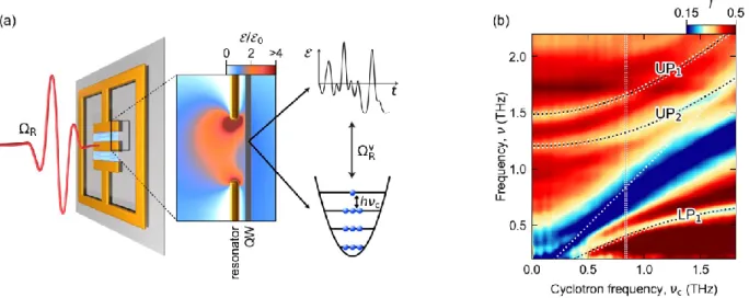 FIG.  1.  Ultrastrongly  light-matter  coupled  structure.  (a)  Schematic  showing  the  THz  far  field  (red  waveform) which couples to the optical modes of the resonator (gold structure) with a strength defined by  the  Rabi  frequency  Ω R 