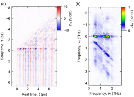 FIG. S8. (a) Measured nonlinear polarization response  ℰ (t,  ) for a peak  field amplitude of  pulse B of 5.6 kV/cm