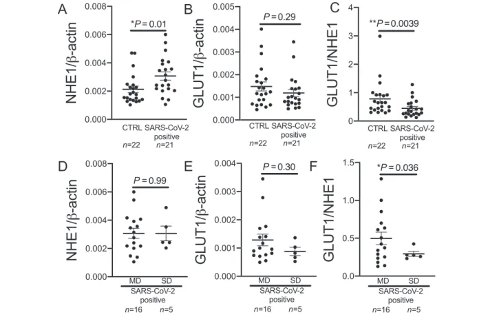 Figure 2 Sodium proton exchanger 1 (NHE 1 ) and glucose transporter 1 (GLUT 1 ) expression in the blood of COVID ‐19 patients