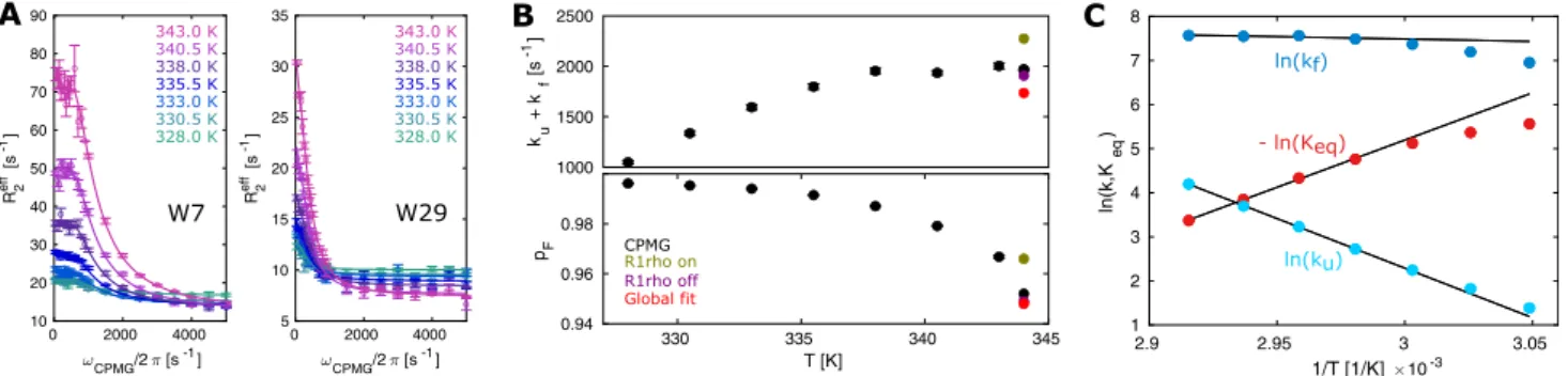 Fig. 5    Kinetic and thermodynamic analysis of the TmCsp folding. a  CPMG curves with a global fit, assuming a constant chemical shift  difference between the folded and the unfolded state across all  tem-peratures