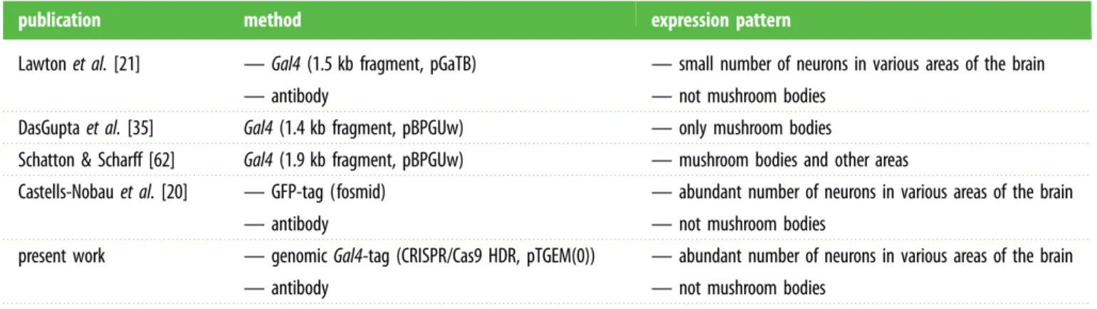 Table 4. The four previous reports and the present work describing FoxP expression patterns.