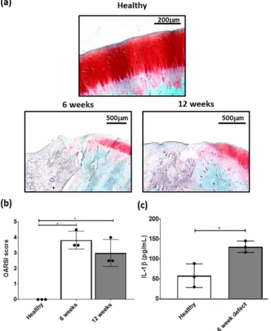 Figure 3. Representative (a) safranin-O/fast green stained healthy, 6 and 12 week defects used for the  examination of focal early OA in the defect