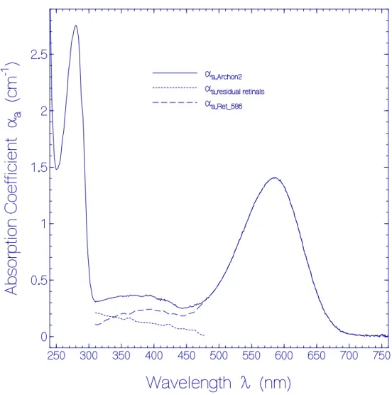 Figure 1. Absorption coefficient spectrum of a fresh thawed Archon2 sample in pH 8 Tris buffer at  room temperature