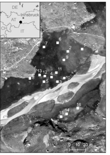 Figure 1 Geographic position of the 16 study plots in the high-alpine fen ‘‘Hohes Moos’’ in the Valley of Stubai near Greitspitze (Austria)
